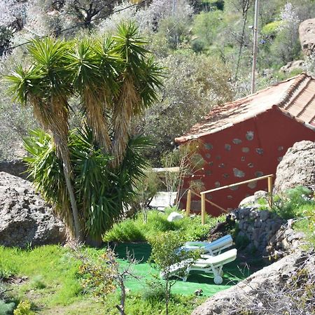 Villa Casa Cueva El Pedregal Tejeda Esterno foto
