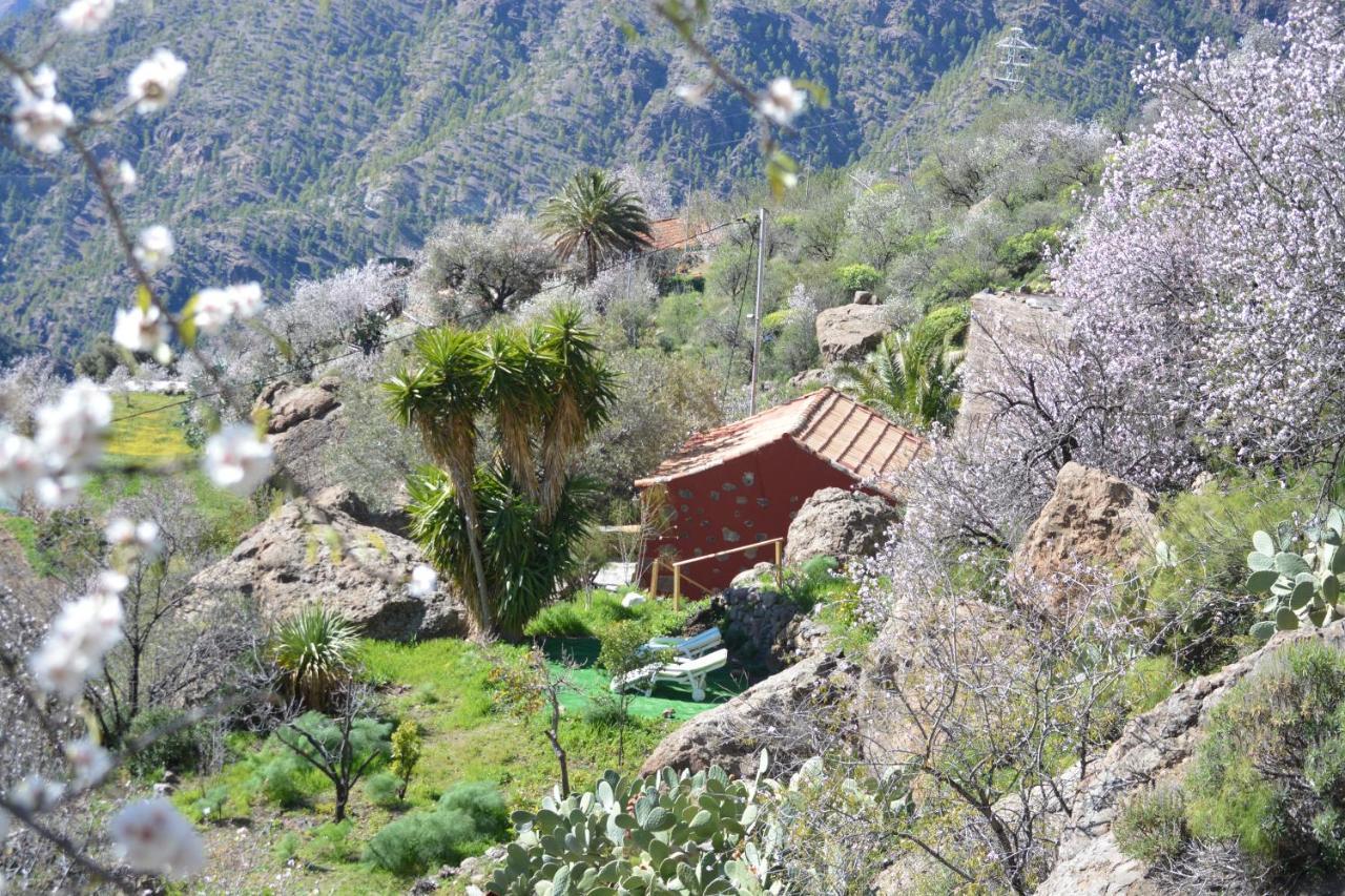 Villa Casa Cueva El Pedregal Tejeda Esterno foto