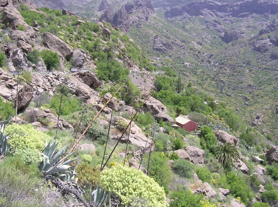 Villa Casa Cueva El Pedregal Tejeda Esterno foto