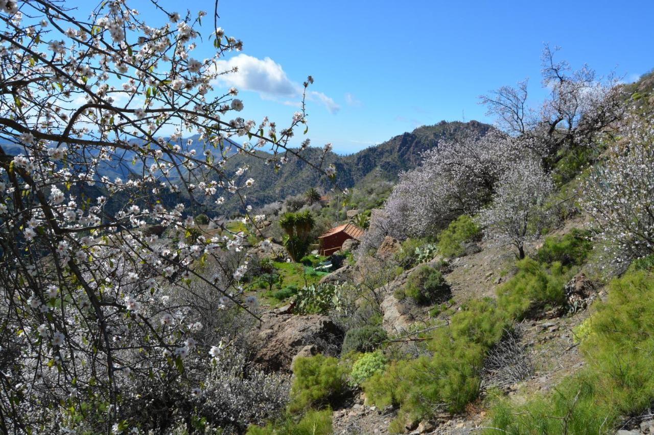 Villa Casa Cueva El Pedregal Tejeda Esterno foto