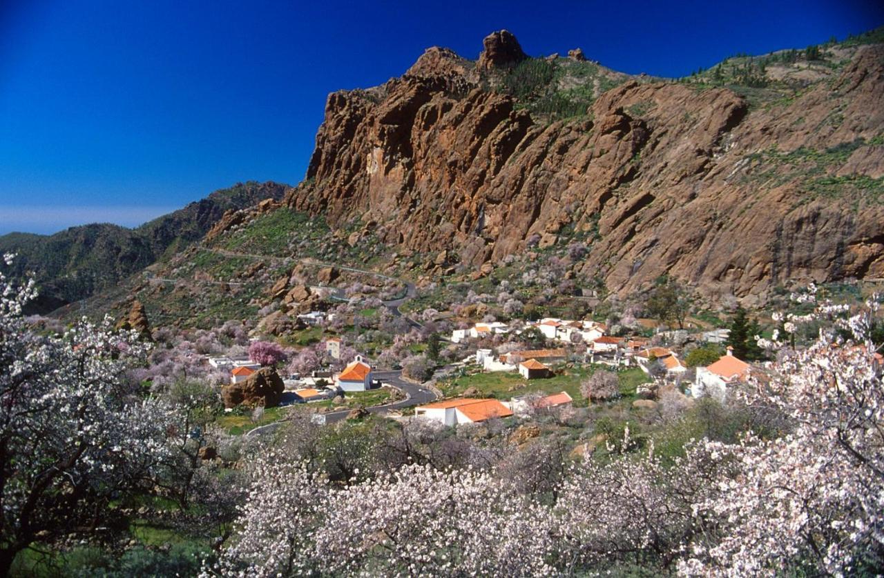 Villa Casa Cueva El Pedregal Tejeda Esterno foto