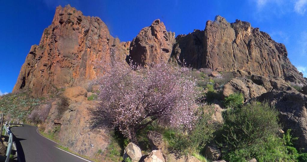 Villa Casa Cueva El Pedregal Tejeda Esterno foto